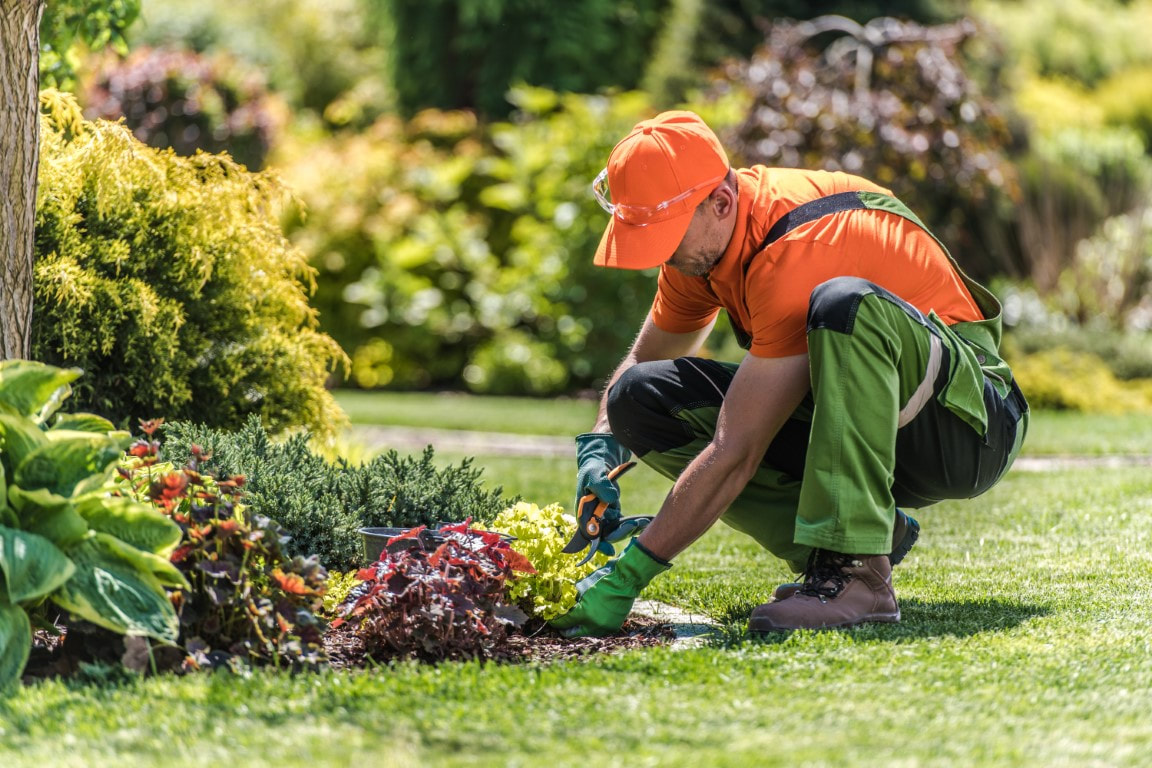 An image of Lawn Care in Timonium, MD